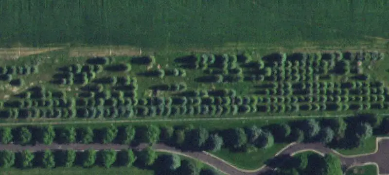 Commercial Land Along Highway
