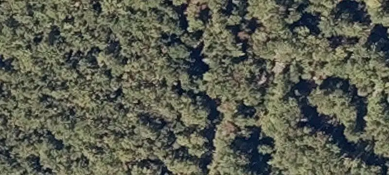 Recreational Land with Cabin