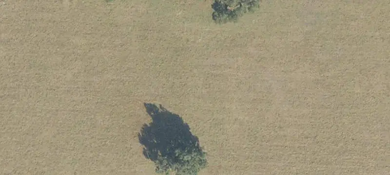 Agricultural Land with Trails