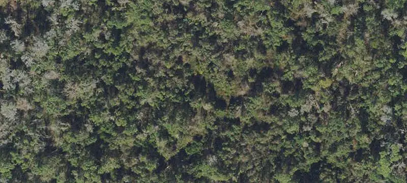 Commercial Land