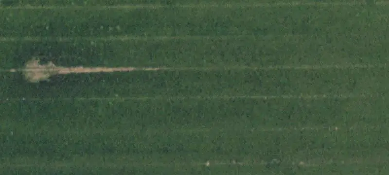 Irrigated Agricultural Land