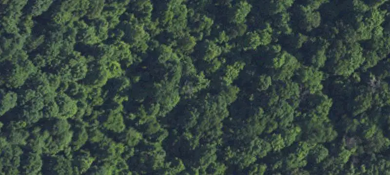 Unimproved Land