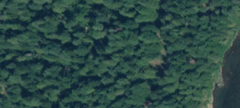 Unimproved Land