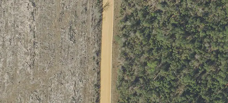 Unimproved Land