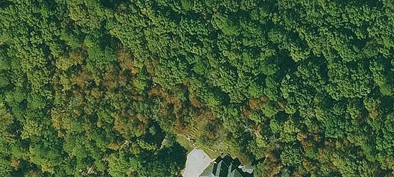 Subdivision Lot