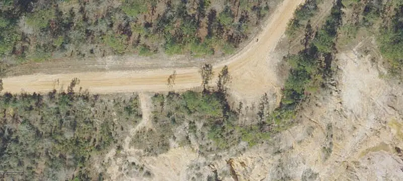 60-Acre Timberland Tract
