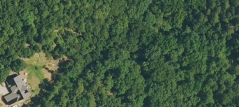 Hunting Land