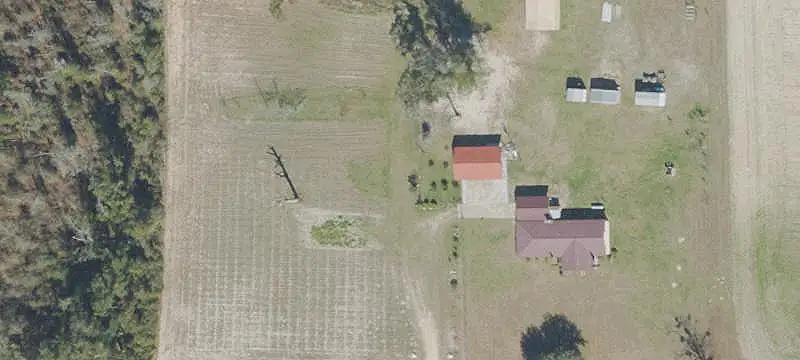 Hunting Land with Pine Timber