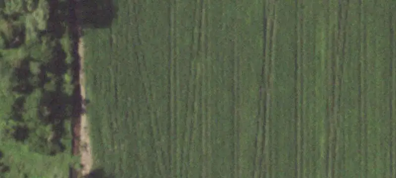 Farmland with Drainage Improvements