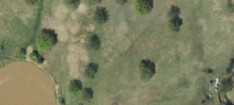 Farm