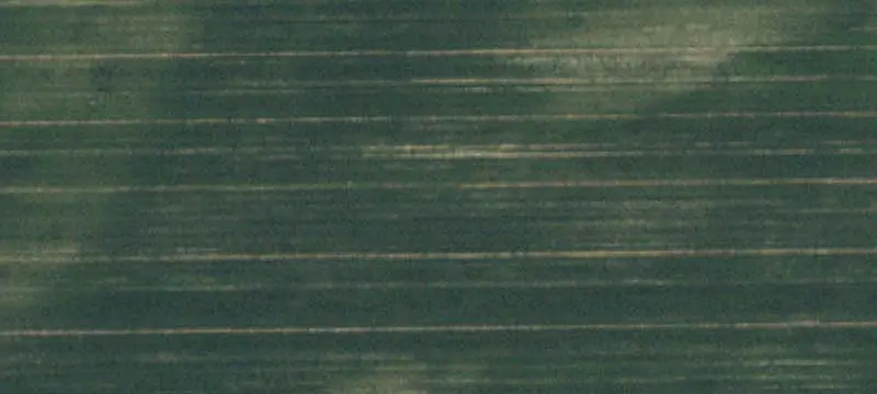 Irrigated Agricultural Land