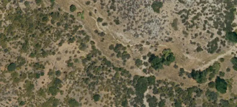 Farm with Established Orchards