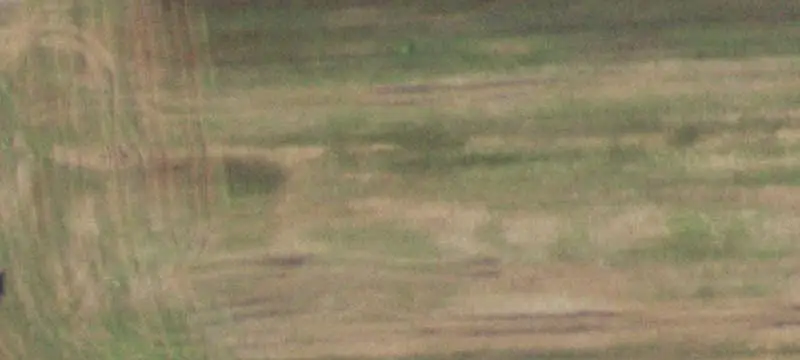 Agricultural Land