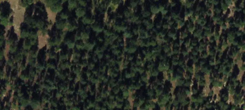 Agricultural Land with Water Rights