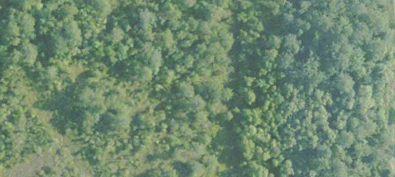 Commercial Land with Development Plans