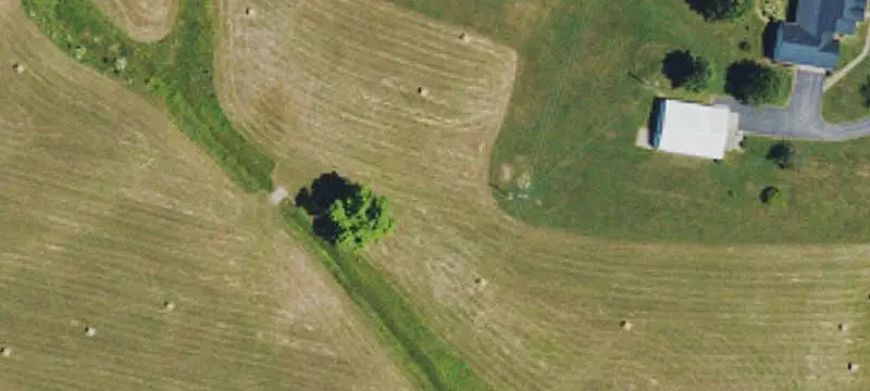Farm