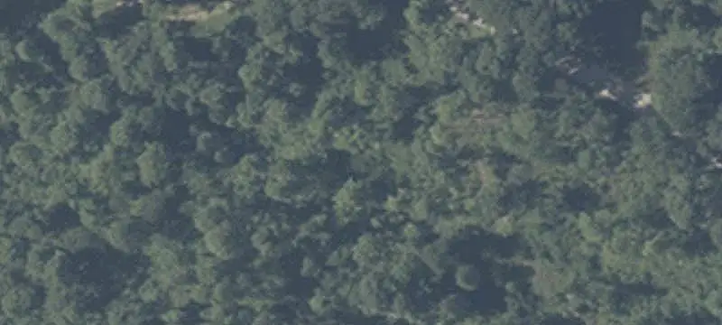 Hunting Land with Timber