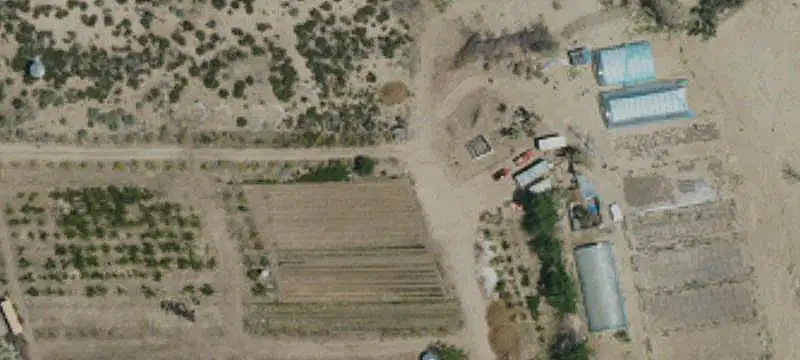 Farm With Fruit Orchard