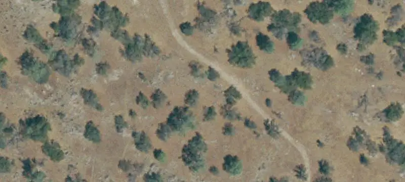 Unimproved Land