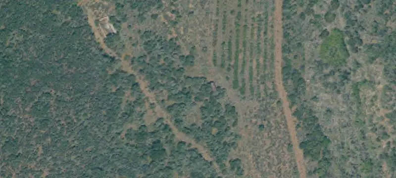 LAND