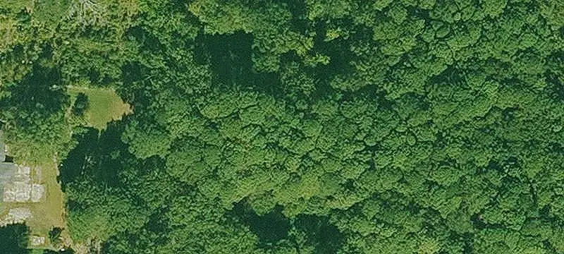 Commercial Land