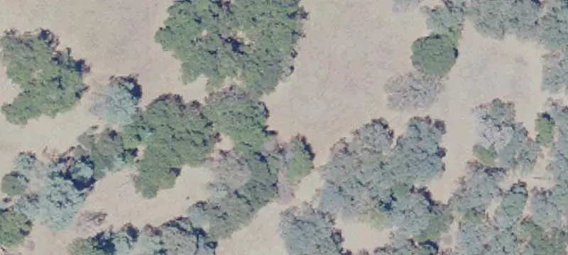 Unimproved Land