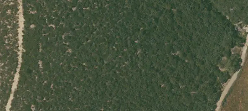 Agricultural Land with Residence