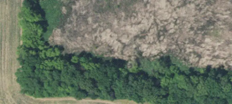 LAND