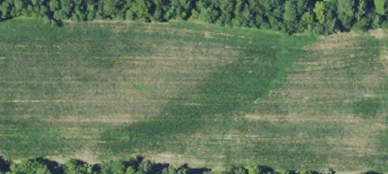 Commercial Land
