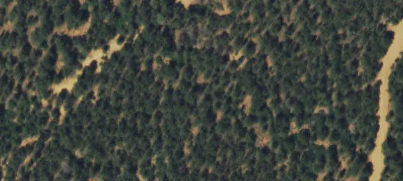 Wooded Recreational Land