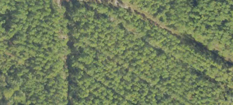 Road-Frontage Land Parcel