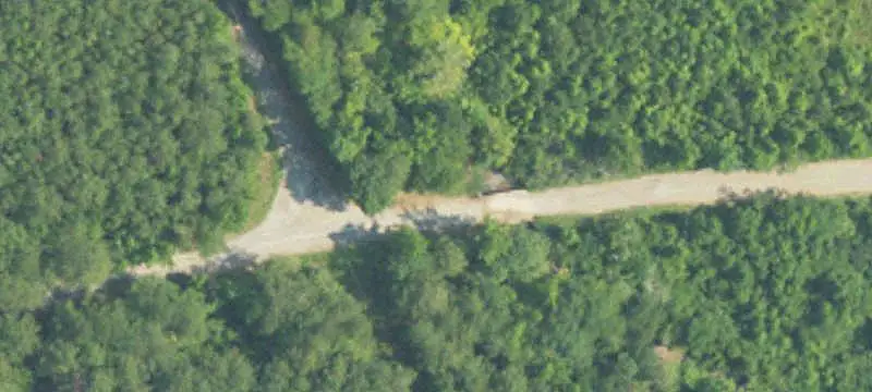 Hunting Land with Cabin