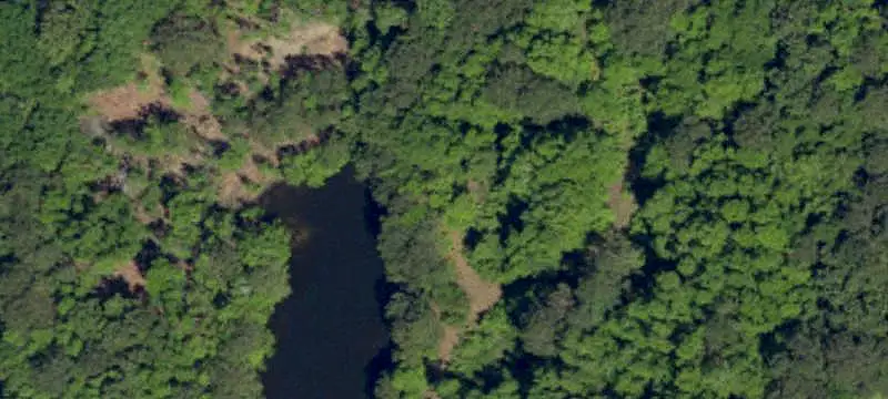 Wooded Agricultural Land
