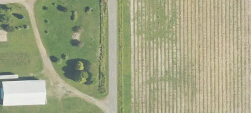 Agricultural Land with Blueberry Production