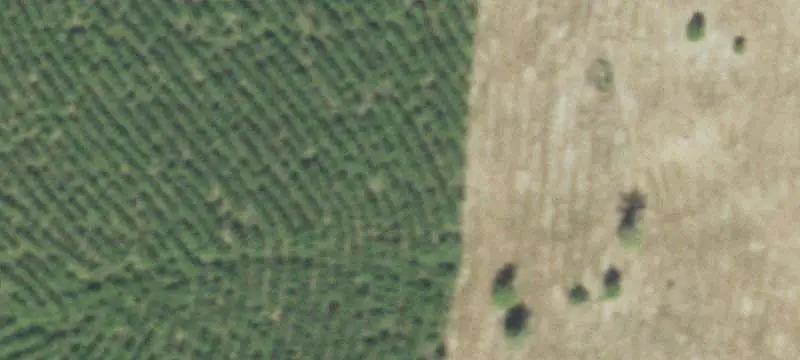 Commercial Land with Highway Frontage