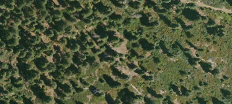 Unimproved Land