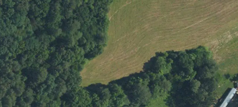 Agricultural Land