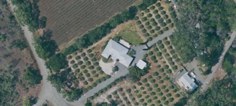 Olive Orchard Farm