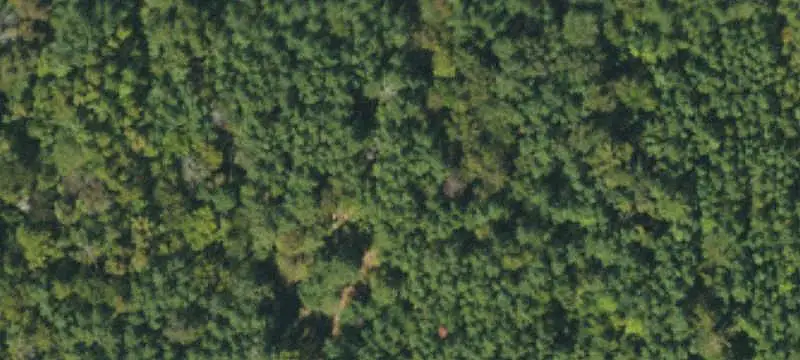 Acreage