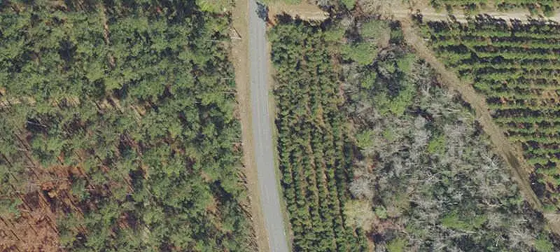 Land/Acreage