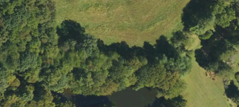 Recreational Land with Stocked Ponds