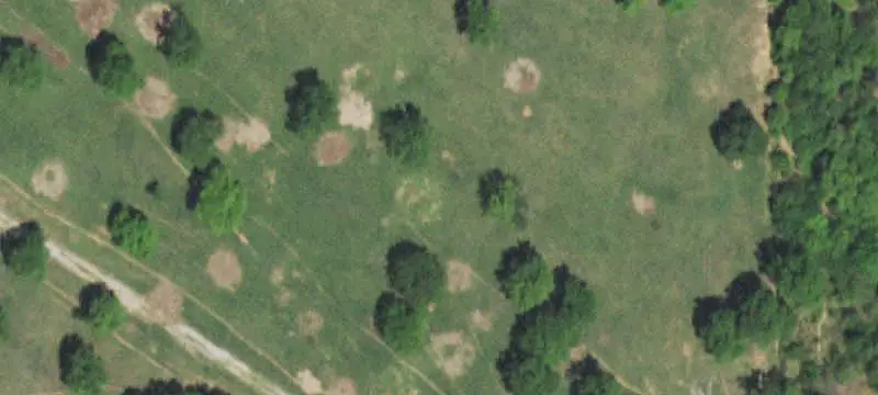 Grazing Land