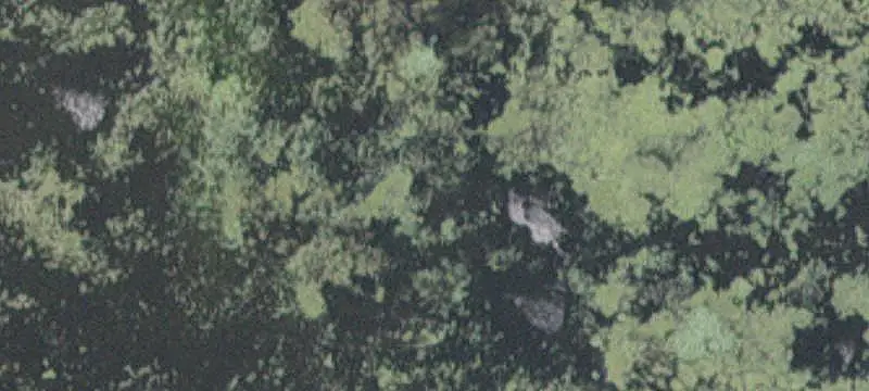 Agricultural Land with Timber