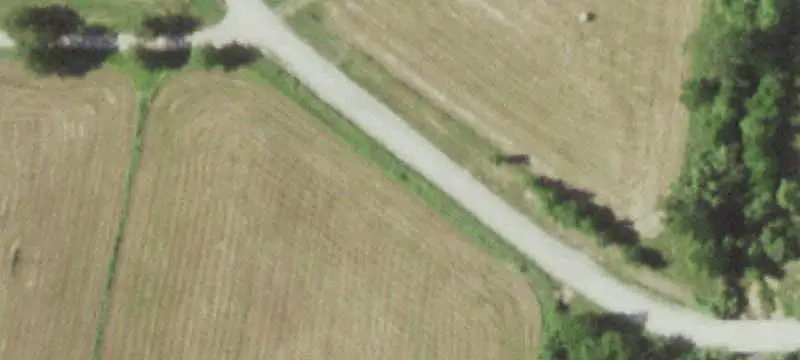Hunting Land with Road Frontage