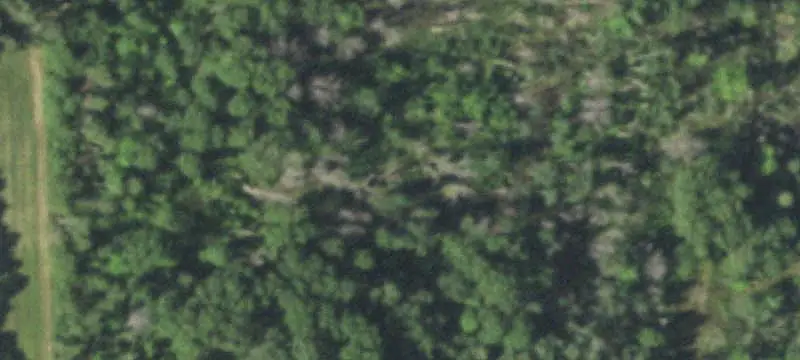 Unimproved Land