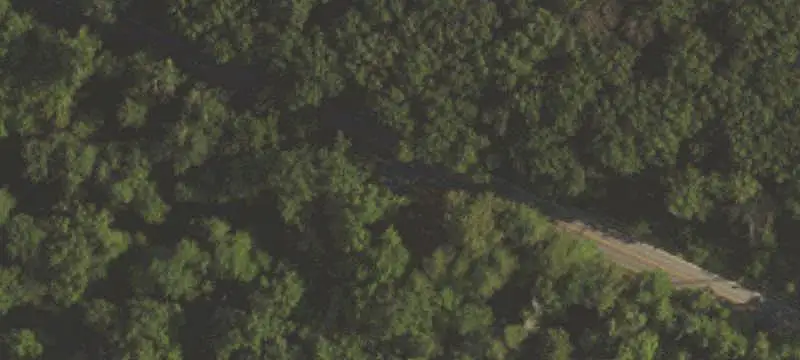 Farm
