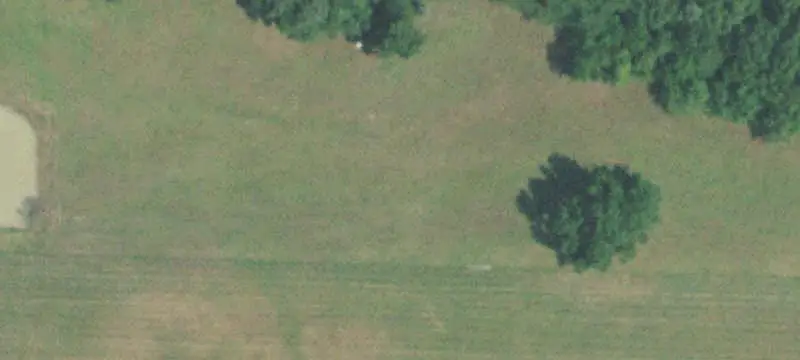 Farm with Residence