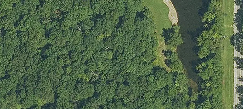 Wooded Commercial Land