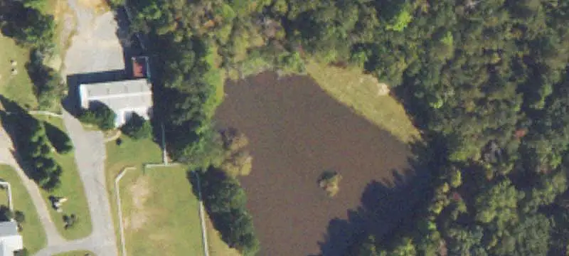 Horse Property with Riding Ring