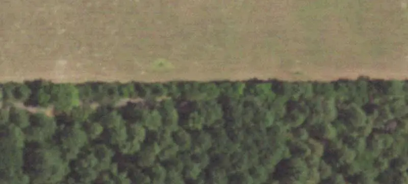 Cross-Fenced Ranch with Cabin